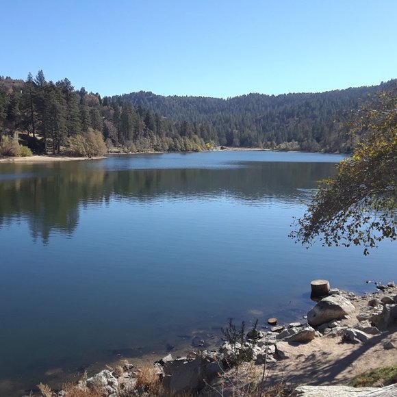 Not for sale..       well maybe - Picture 5 of 5